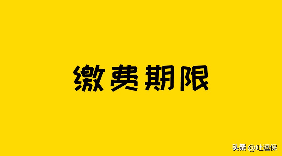 错过缴费期怎么办,错过缴费日期怎么处理