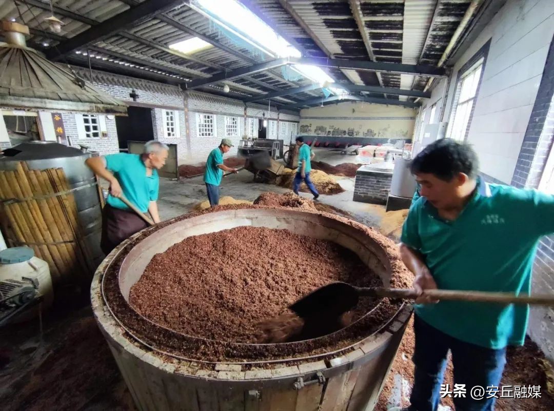 安丘春开窖酒厂,春开窖中华老字号