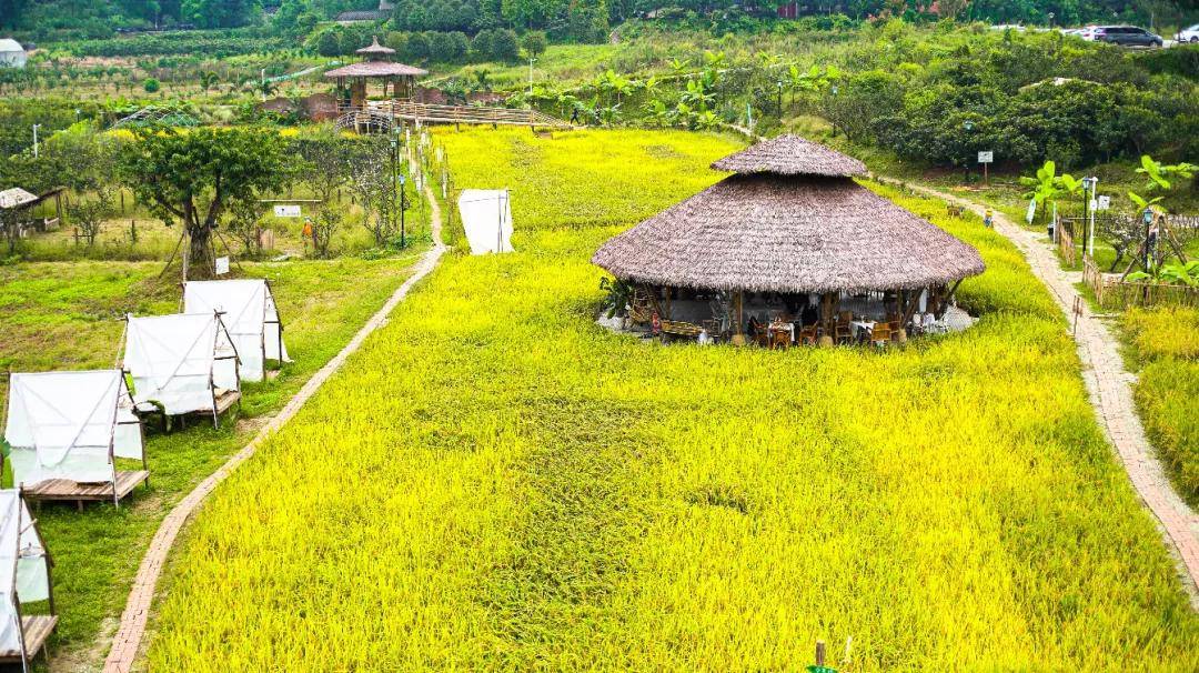 浣曞繀鍘昏繙鏂圭編鏅浘,浣曞繀鍘昏繙鏂圭編鏅湪韬梺