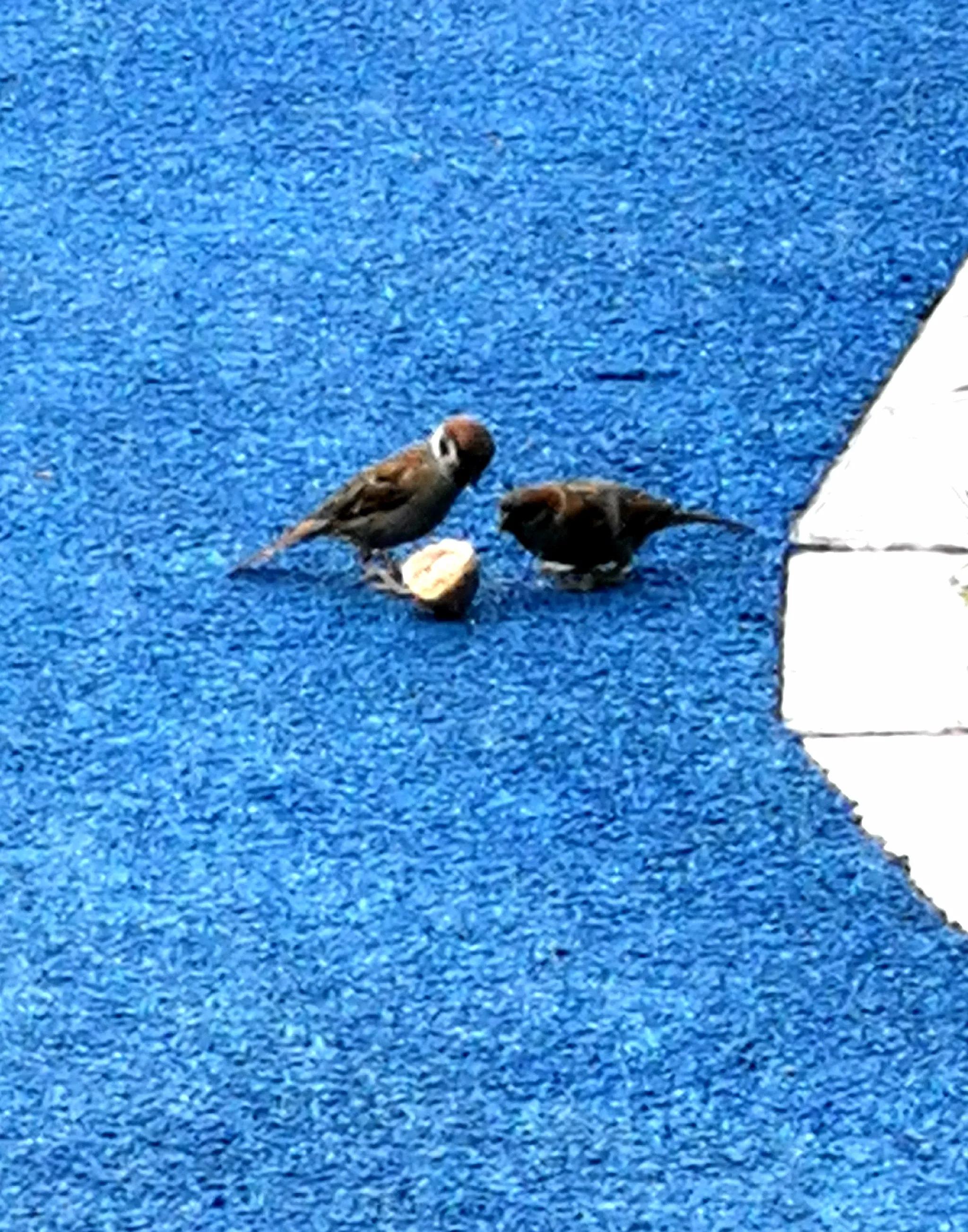 长春市南湖公园和南溪小镇,长春北湖湿地和南溪谁大