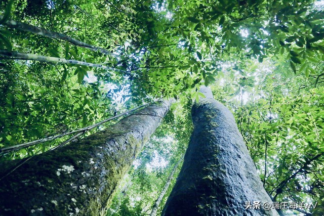 云南周边旅游景点推荐自驾游,2022云南旅游景点攻略自由行