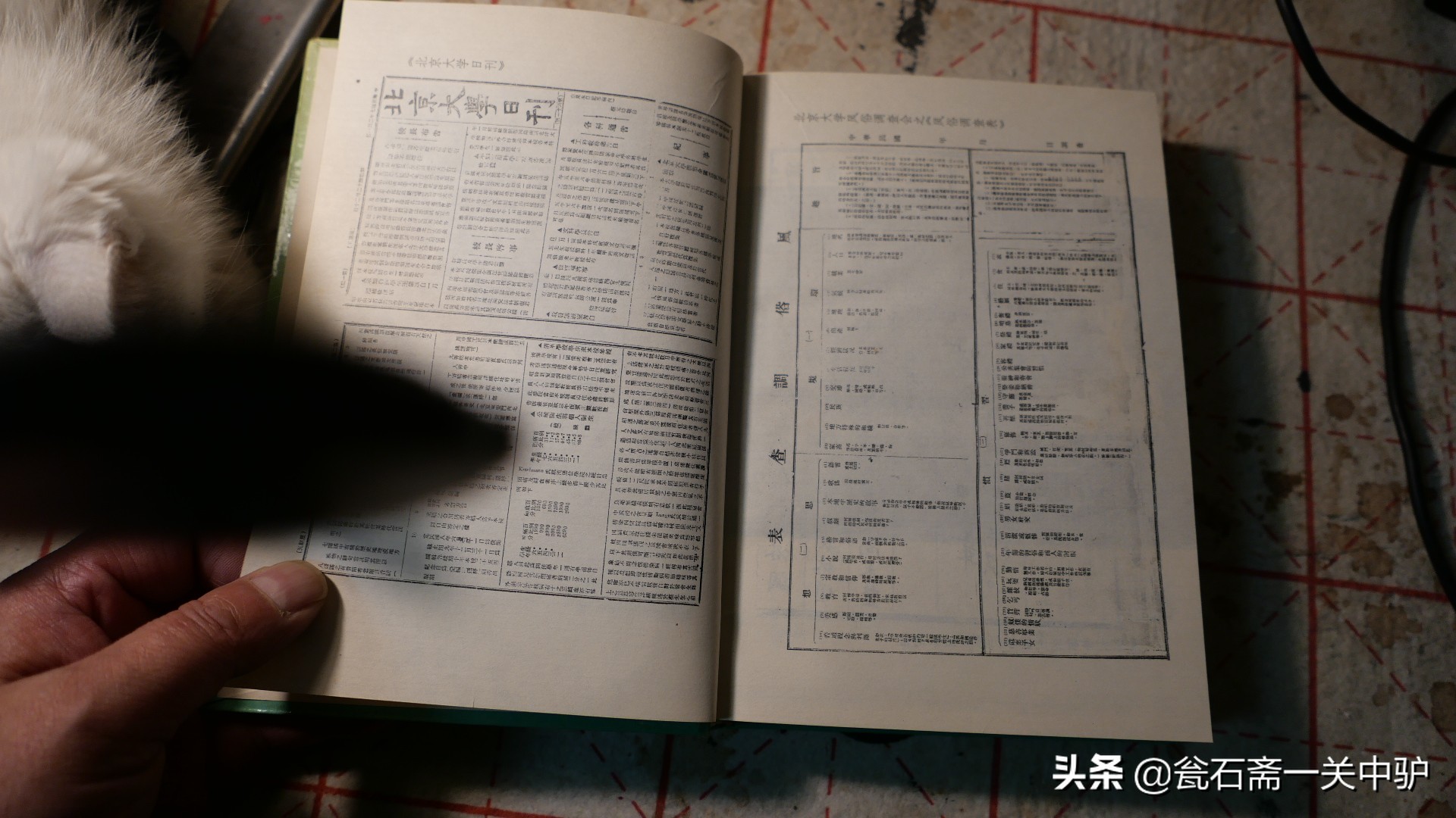 中国民俗学史,通读中国历史需要选哪本书