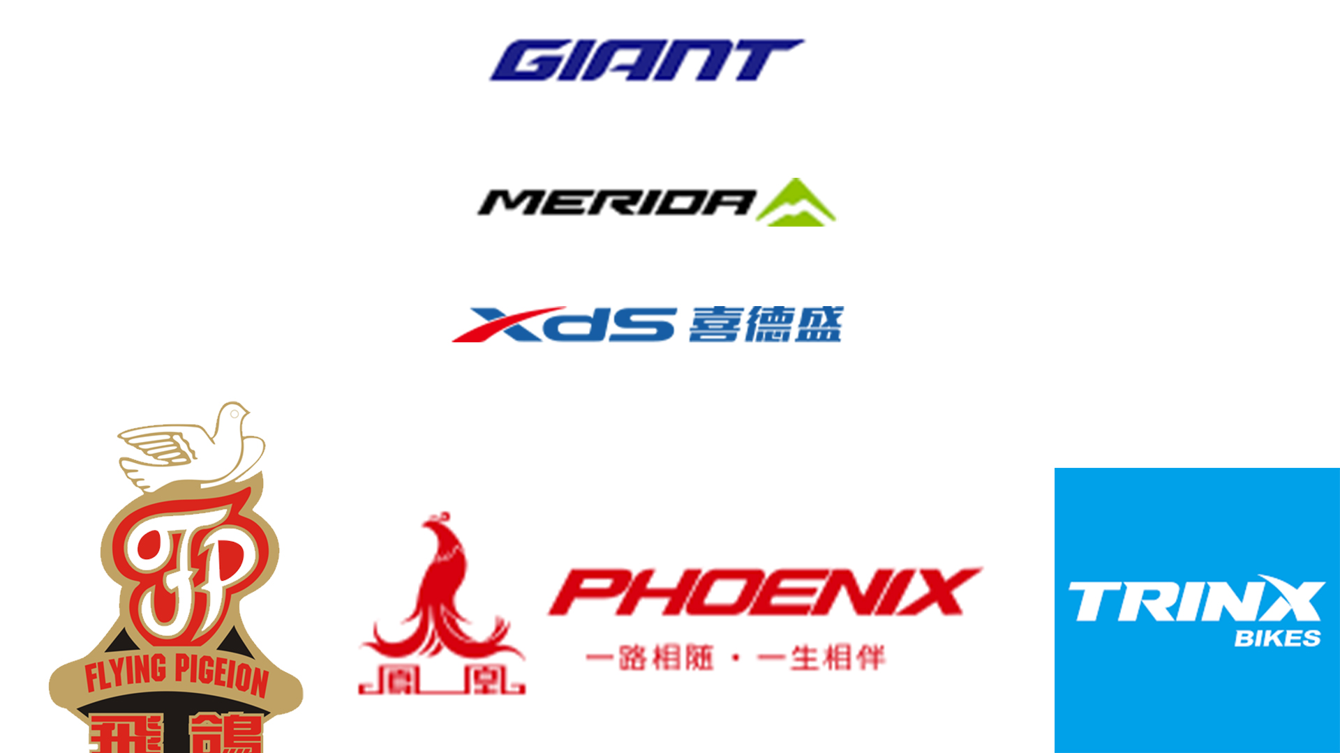 世界十大最好的自行车品牌,旅行自行车知名品牌