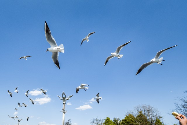 女友23岁我是她的初恋，发现她网聊暧昧，我爱她，还适合结婚吗？