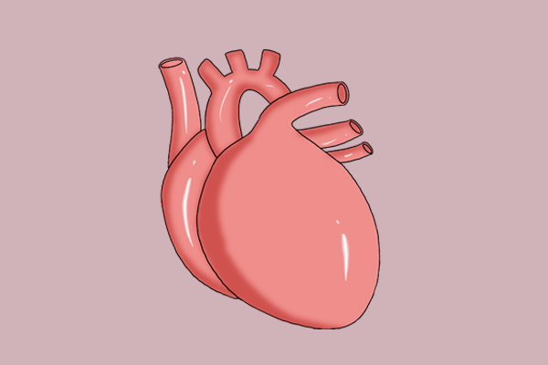 多补充锌硒,补充硒元素你应该知道这些问题