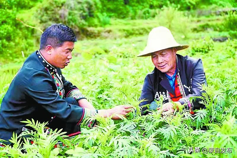 云南出席*党**的二十大代表,背后都有哪些故事?