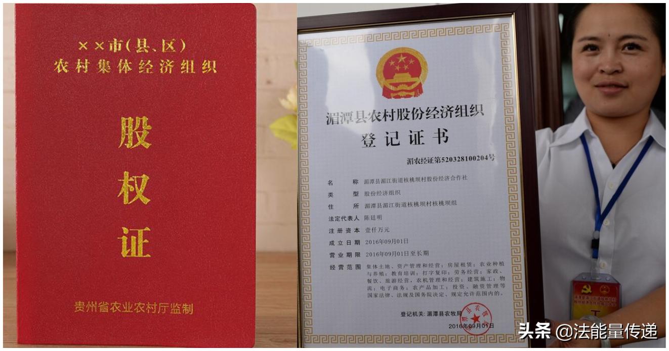 农村集体经济合作组织成员股权证,农村集体经济组织股权证查询