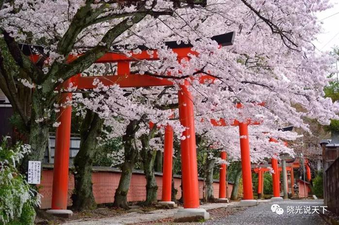 中日文化交流史导论,中日文化交流史视频