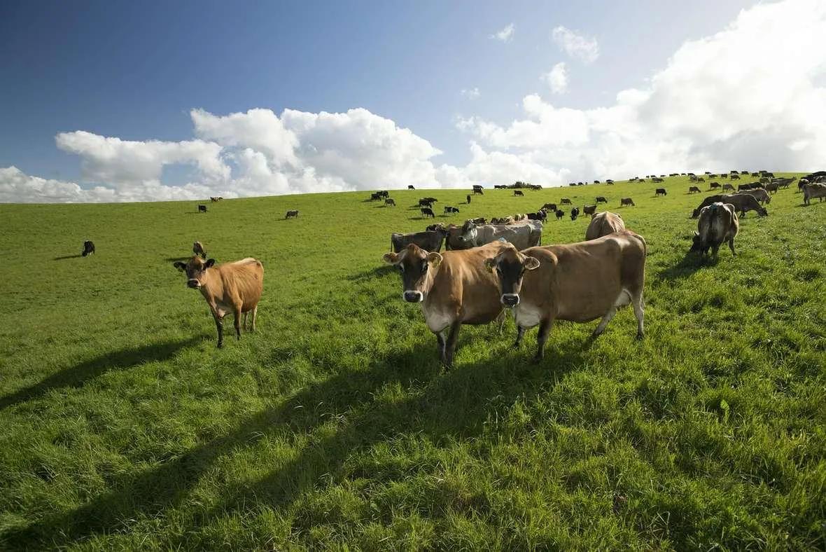 美国各州gdp排名及州府,美国50大城市GDP排名2020年