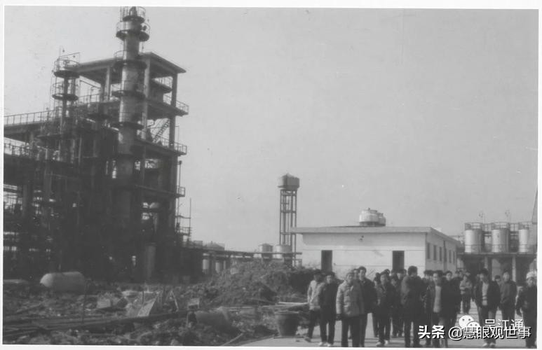 《侯海洋基层风云》中世安厂里的许大马棒----许瑞