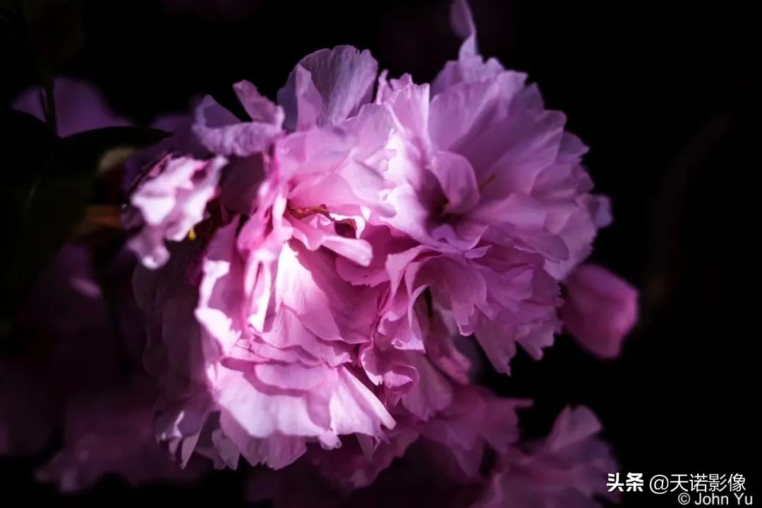 理光GRIIIX相机，可装进口袋的高画质扫街神器