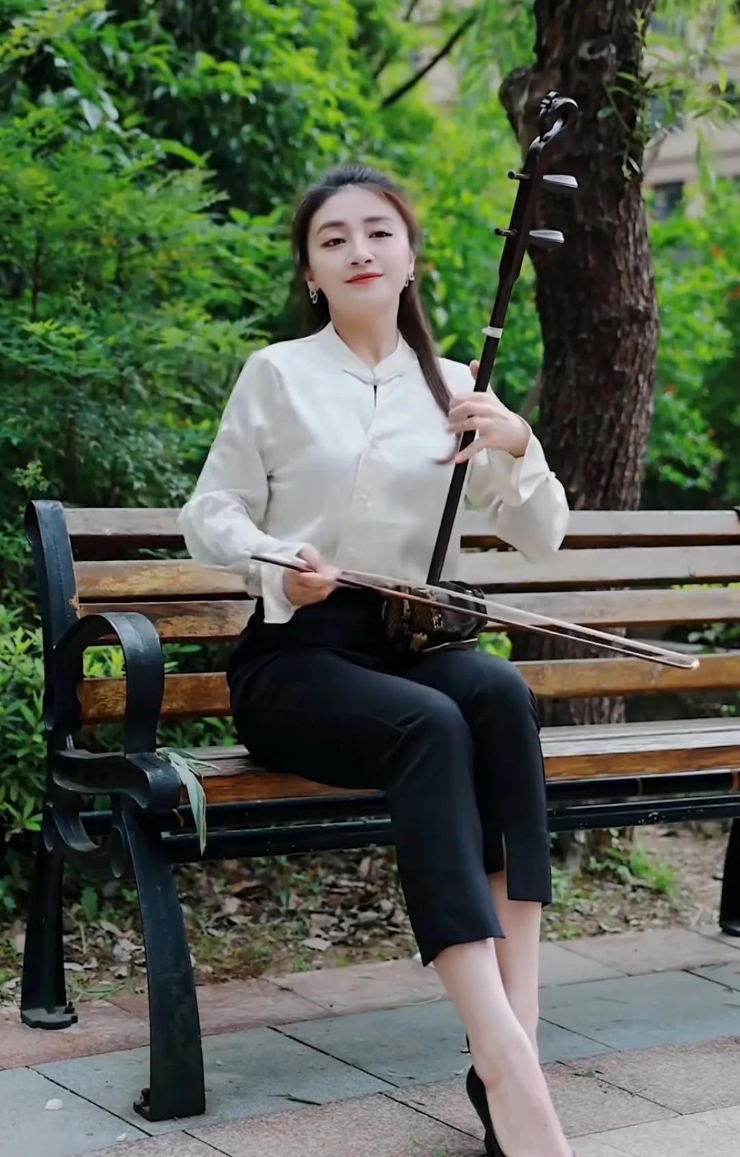 公园二胡真实水平,二胡表达的是什么