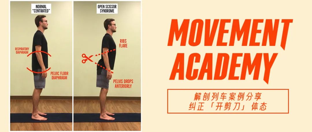 解剖列车教程完整版,解剖列车视频讲解