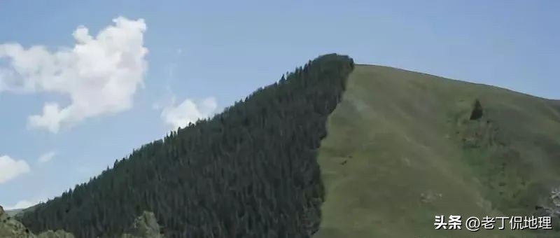 阳坡阴坡的区别,地理怎么区分阳坡阴坡