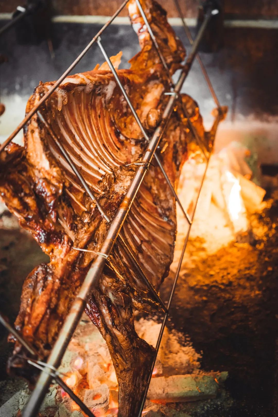 盐池滩羊清炖羊肉做法,苏尼特羊肉和盐池滩羊