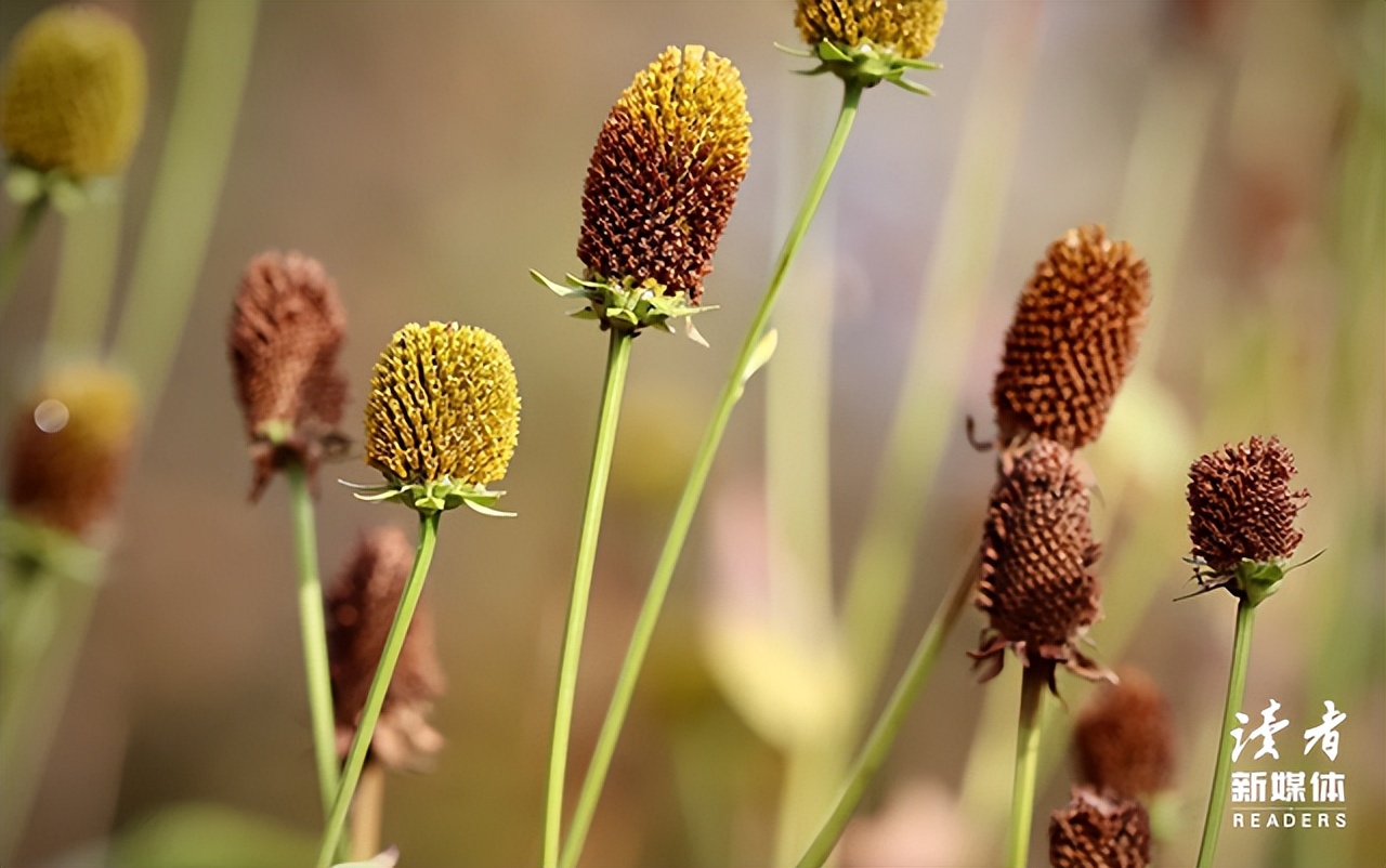 人老了这四件事不能对子女说,人老后4件事不要对子女说