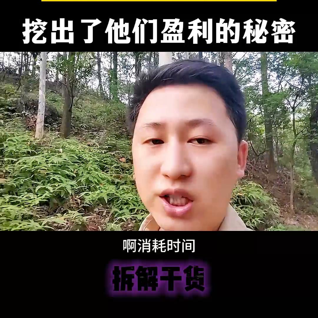 我拆解了100多个网红，挖出了他们盈利的秘密！