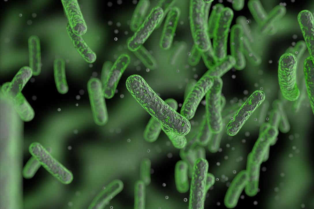 白带白细胞20-30清洁度iii,妇科白带清洁度iii度需要治疗吗