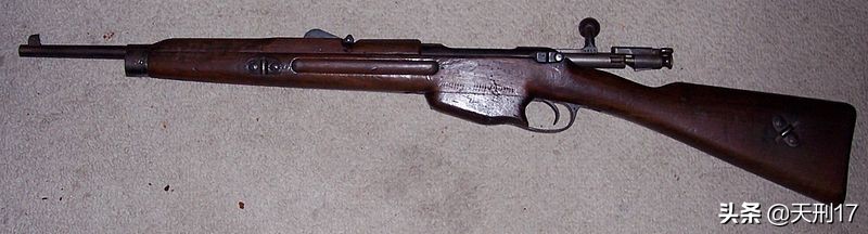 德式步枪大全,德式突击步枪大全