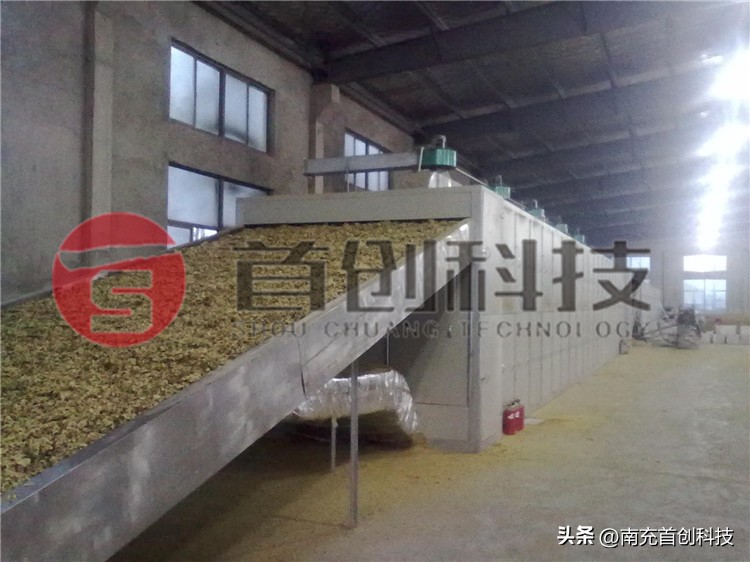 全自动连翘烘干设备厂家,河北连翘烘干机源头厂家