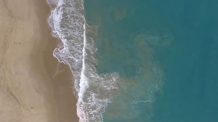 为什么草坪里面有很多水,不可思议的草坪水