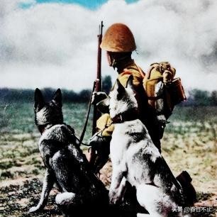 纳粹老照片犹太女人,老照片纳粹女魔头的下场