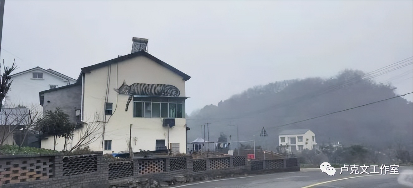 卢克文湖北星耀江汉,湖北星耀江汉