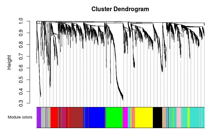 wgcna分析用的什么数据,WGCAA分析