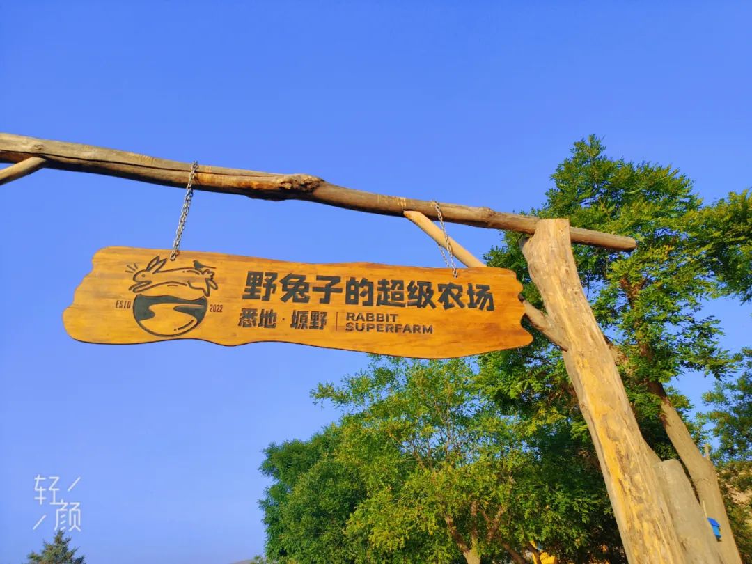 永靖盐锅峡小茨村规划,甘肃永靖盐锅峡小茨村木栈道