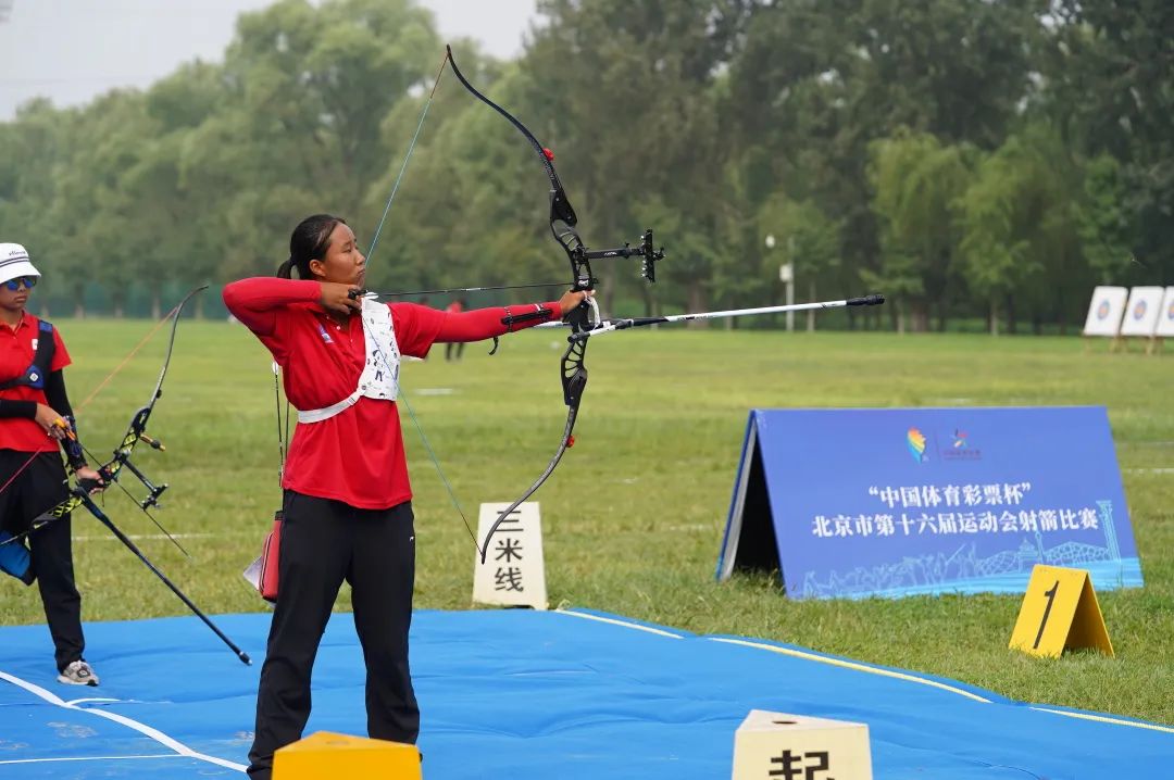 北京第十六届运动会石景山奖牌榜,北京市第十六届运动会朝阳赛场