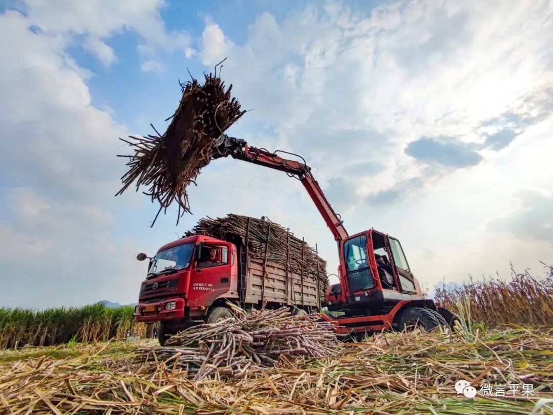 广西平果：开拓进取创新业砥砺前行展宏图