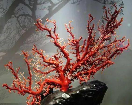 中国玉石排名前十名的玉石图片,中国玉石排名前十名品牌图片