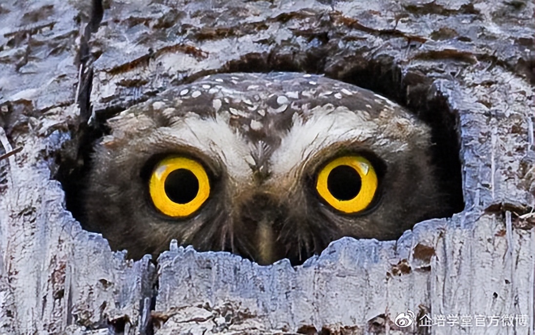 培训讲师上台紧张,缓解培训师上台紧张