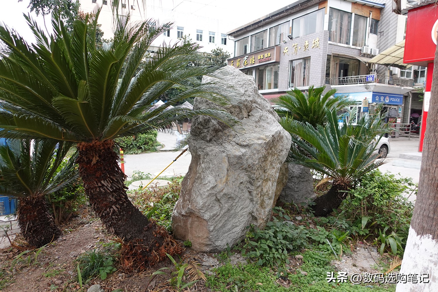 索尼zv-1是否值得入手,索尼zv-1刚买来怎么使用