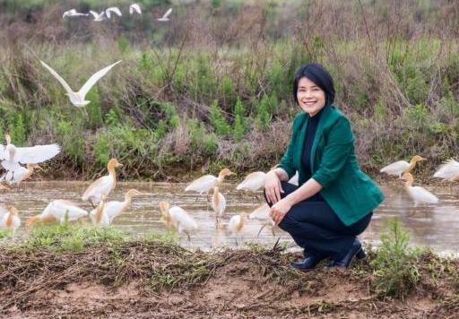 90鍚庡コ瀛╄繑涔″垱涓氱灏忕ɑ,90鍚庤繑涔″垱涓氬ぇ瀛︾敓绉嶆姘寸ɑ