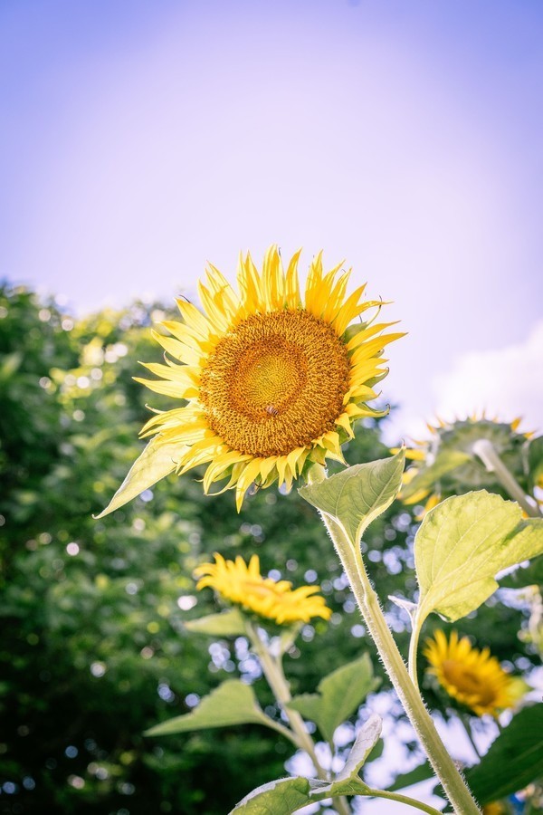 湾区光影魅力,南沙湾区超美风景线