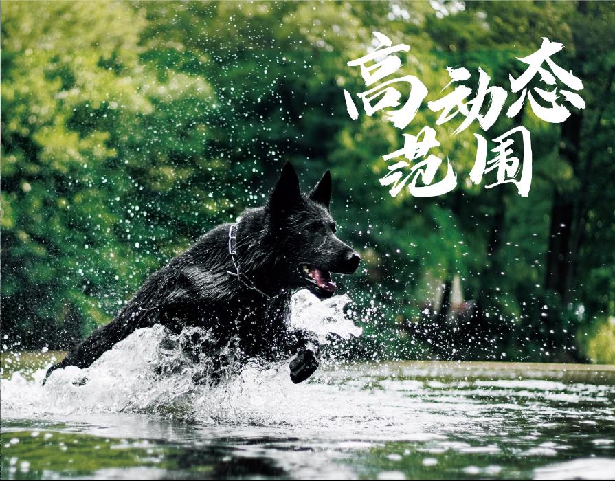 阿凡达2哪种影厅观影效果最好,阿凡达2内地定档博纳