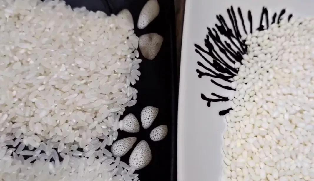 大米和圆粒米怎么选,正宗长粒米和圆粒米的区别