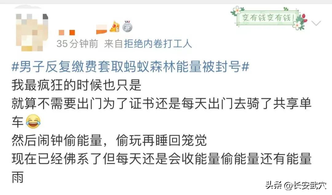 男子蚂蚁森林种树太上头被封号！4个小号养一个主号，反复缴纳水电费并退费套取“绿色能量”……