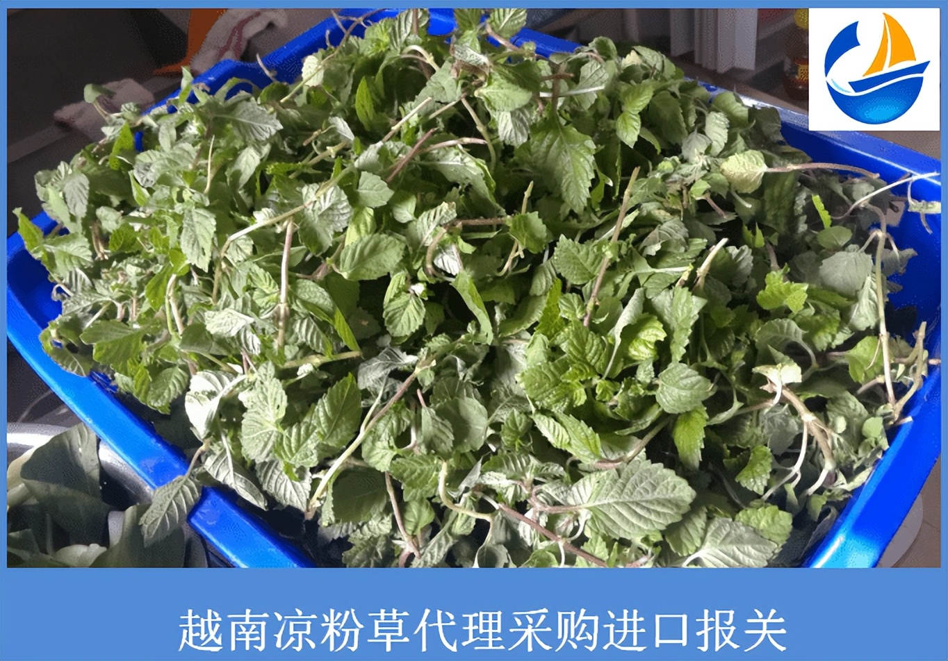 越南冷冻食品进口报关价格,越南水果进口报关代理公司