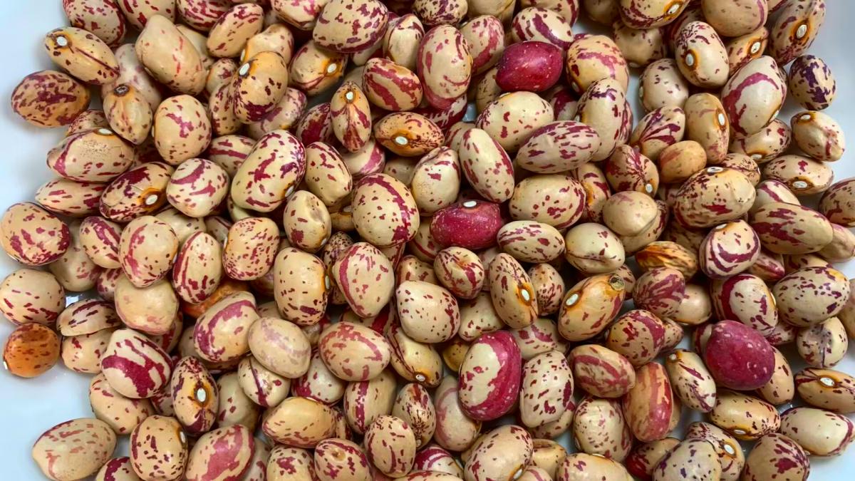 它被称为男人补肾上品,滋补肾经的食物