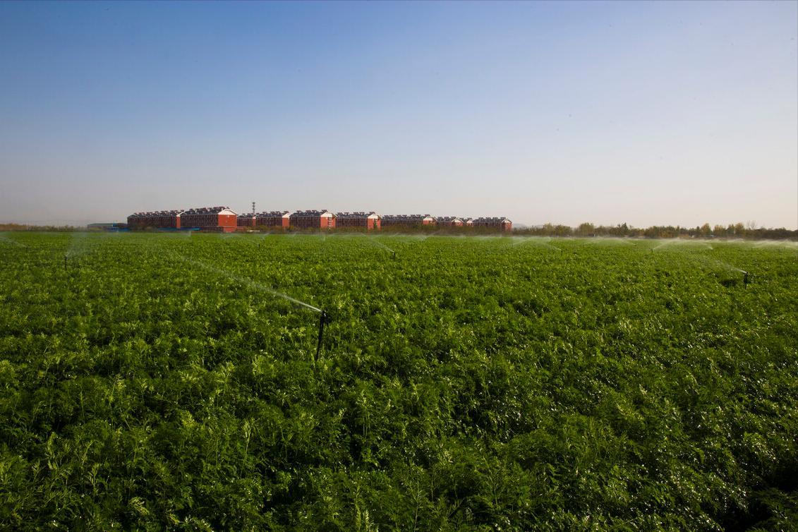 土地30年不变村里有权调整吗,土地确权后村长可以重新分割吗