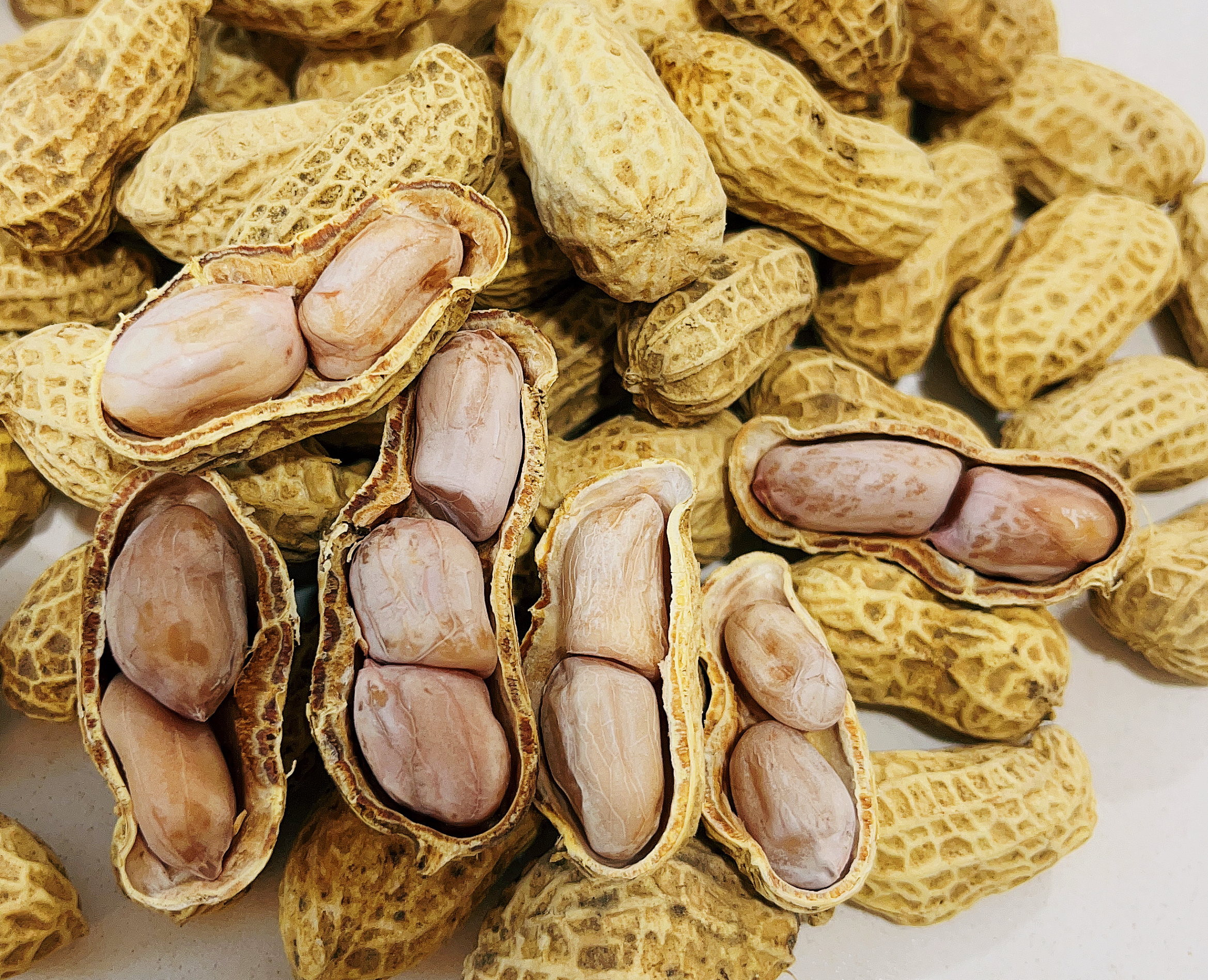 卖了一天花生后，我还是选择去读书