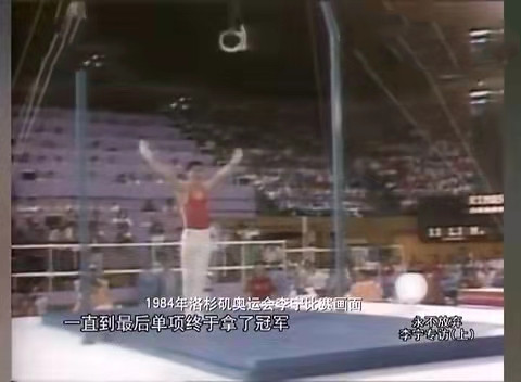 李宁与成龙,李宁中年的照片