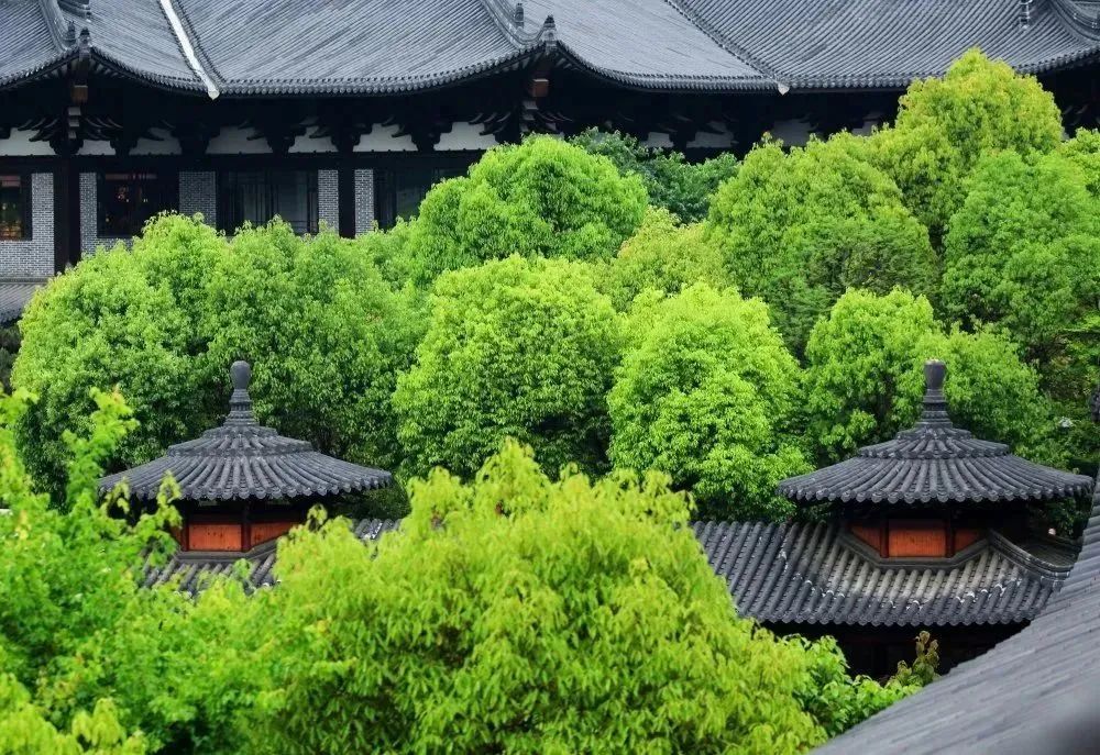 吃辣全省第一！避暑可以打满分！这个冷门小县城太上头