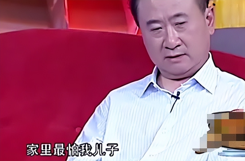 王思聪与老王,王思聪禁言什么意思