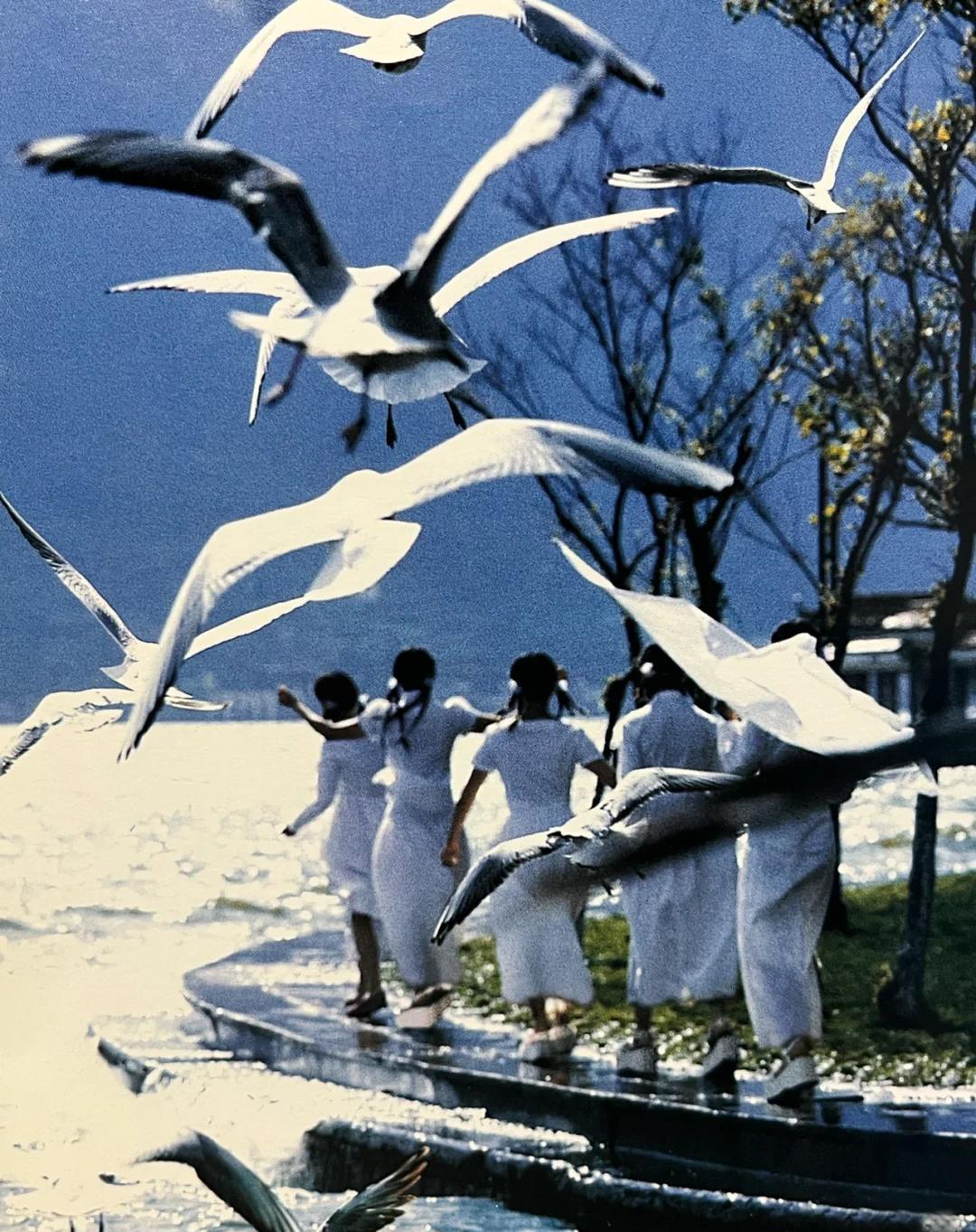 淑女屋老款混搭,淑女屋最经典的衣服有哪些