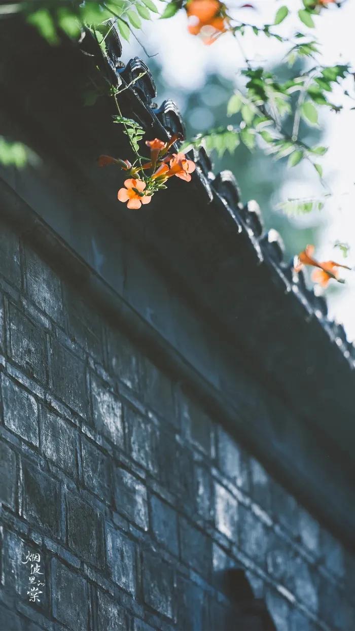 壁纸分享来点养眼的吧,励志文案壁纸超清全面屏