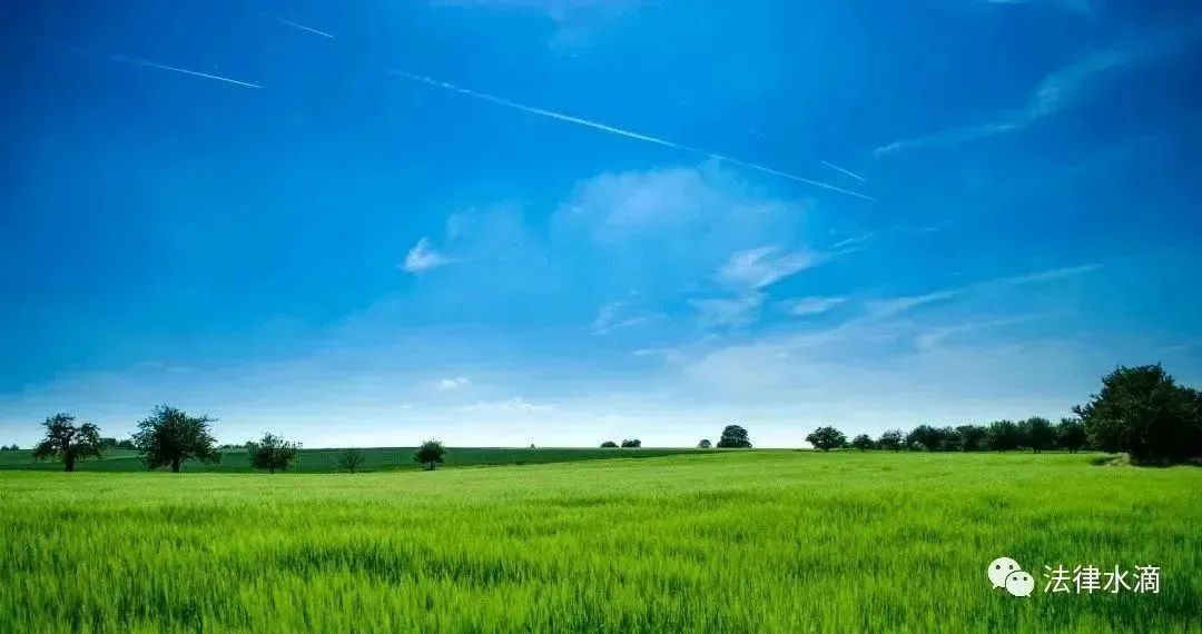 商票的提示付款期是多长时间,商票显示逾期提示付款待签收