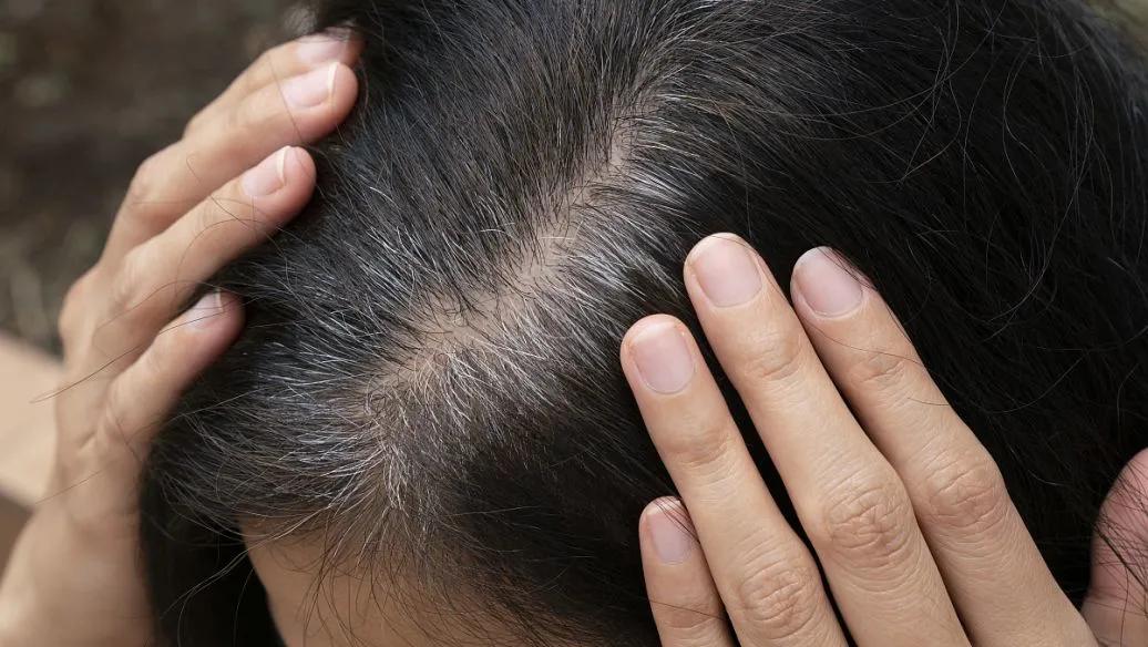 「风吟阁」女人与白发的战役